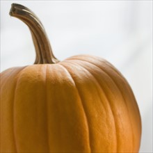 Close up of pumpkin.
