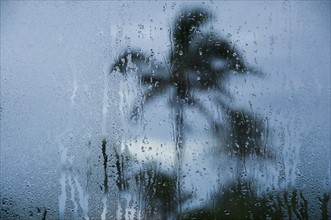 Tropical storm in Bermuda from window.