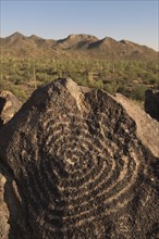 Petroglyph, Signal Hill, Arizona.