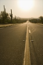 Sun shining over desert road, Flagstaff, Arizona.