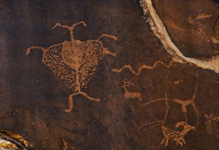 Close up of petroglyph, Utah.