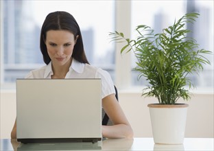 Businesswoman working on laptop next to plant.