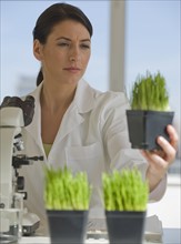 Scientist examining plants in pharmaceutical laboratory.