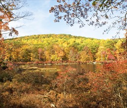 Autumn foliage, Bear Mountain, New York. Date: 2008