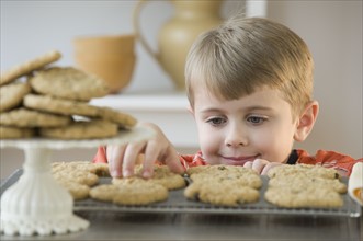 Boy taking fresh cookie from rack.