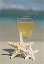 Glass of wine and sea stars.