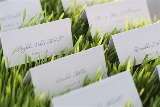 Wedding table place cards and glasses of wine. Photographe : Jamie Grill