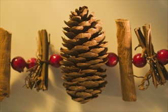 Pine cone Christmas decoration. Photographe : Daniel Grill