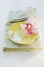 Spa towel and tropical flower. Photographe : Daniel Grill