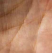 Close up of human palm. Photographe : Joe Clark