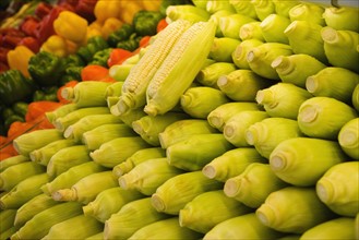 Rows of fresh corn. Photographe : Hill Street Studios