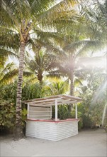 Outdoor shower under trees. Photographe : Jamie Grill