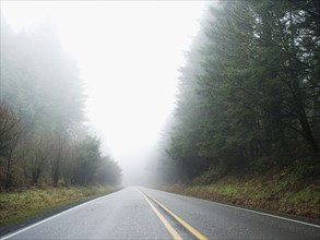 Highway through foggy forest.