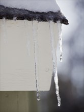 Icicles hanging from roof eaves. Photographe : Jamie Grill