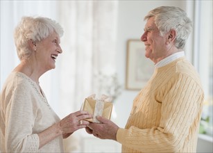 Senior couple celebrating anniversary.