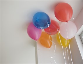 Balloons on ceiling. Photographe : Jamie Grill