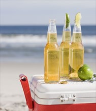 Beer and cooler on beach. Photographe : Jamie Grill