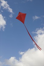 Red kite in sky.