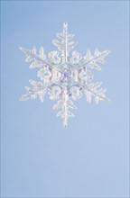 Snowflake decoration. Photographe : Kristin Lee