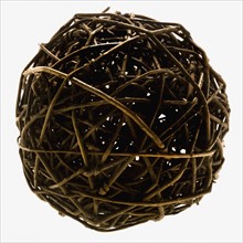 Ball of twigs. Photographe : Joe Clark