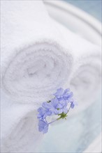 Spa towels and tropical flower. Photographe : mark edward atkinson