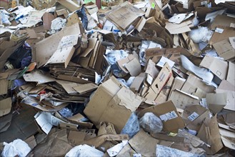 Pile of paper and cardboard at recycling plant. Photographe : fotog
