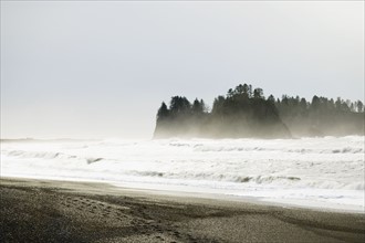 Windy seascape. Photographe : Sarah M. Golonka