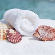 Spa towel and seashells.