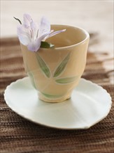 Tropical flower in tea cup.