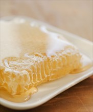 Close up of bee and honeycomb. Photographe : Jamie Grill