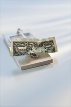 Dollar bill on mouse trap.