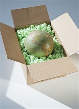 Globe in shipping box.