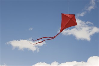 Red kite in sky.