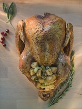 Thanksgiving turkey on cutting board.