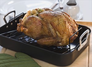 Thanksgiving turkey in roasting pan.