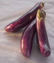 Close up of eggplants.
