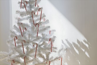 Candy canes on artificial Christmas tree.