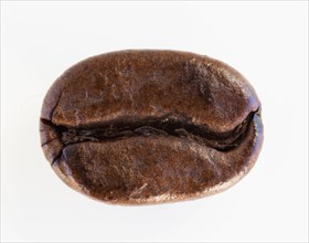 Roast coffee bean, studio shot.