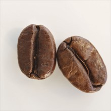 Two roast coffee beans, studio shot.