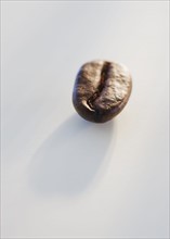 Roast coffee bean, studio shot.