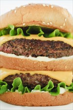 Studio shot of hamburger.