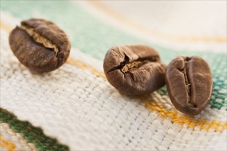 Three roast coffee beans on fabric, studio shot.