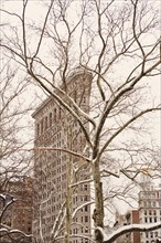 Flatiron Building, Manhattan, New York City, New York, USA.