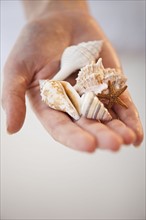 Close-up of seashells in woman's hand.