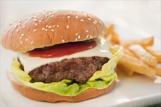 Studio shot of hamburger.