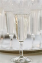 Glass of champagne, close-up, still life. Photographe : Jamie Grill