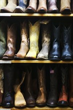 Boot in row on shelves in shop, Aspen, Colorado, USA . Photographe : Shawn O'Connor