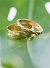 Two wedding rings on leaf. Photographe : Jamie Grill