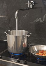 Water pouring from tap into pot.