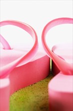 Pair of pink Flip-Flops, close-up. Photographe : Joe Clark